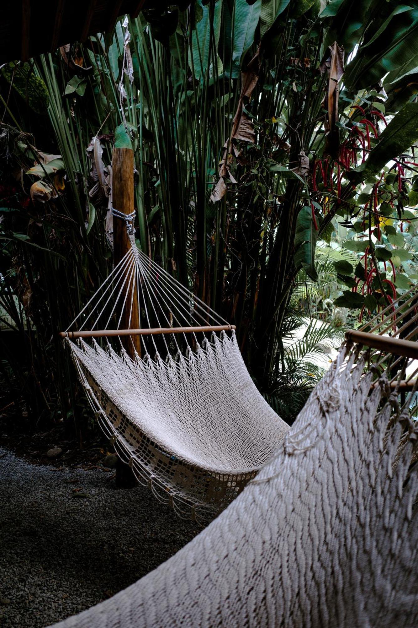 Conga Boutique Hotel Puerto Viejo de Talamanca エクステリア 写真