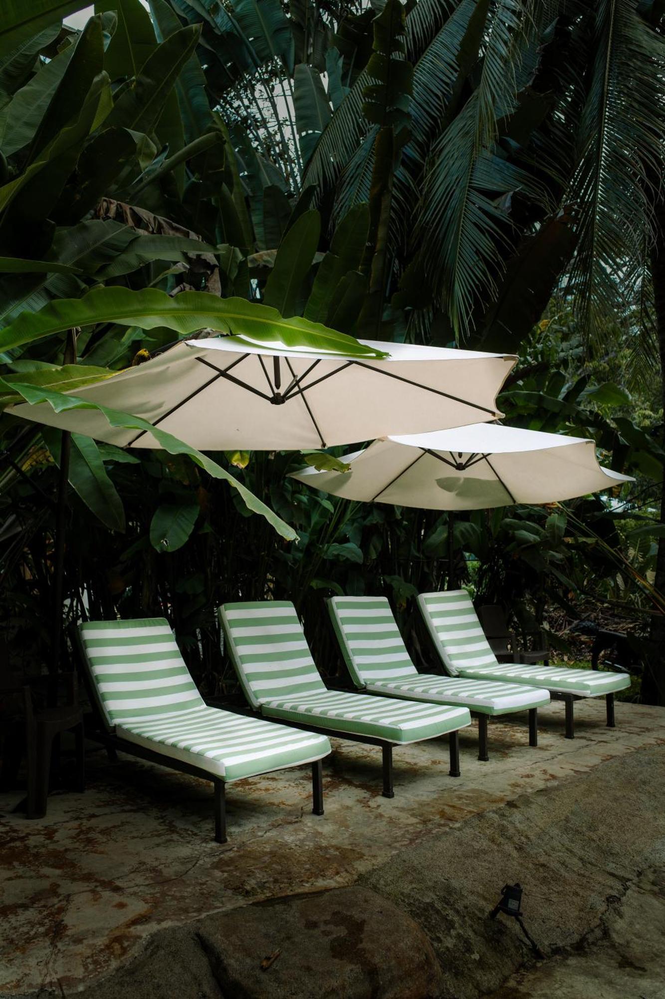 Conga Boutique Hotel Puerto Viejo de Talamanca エクステリア 写真