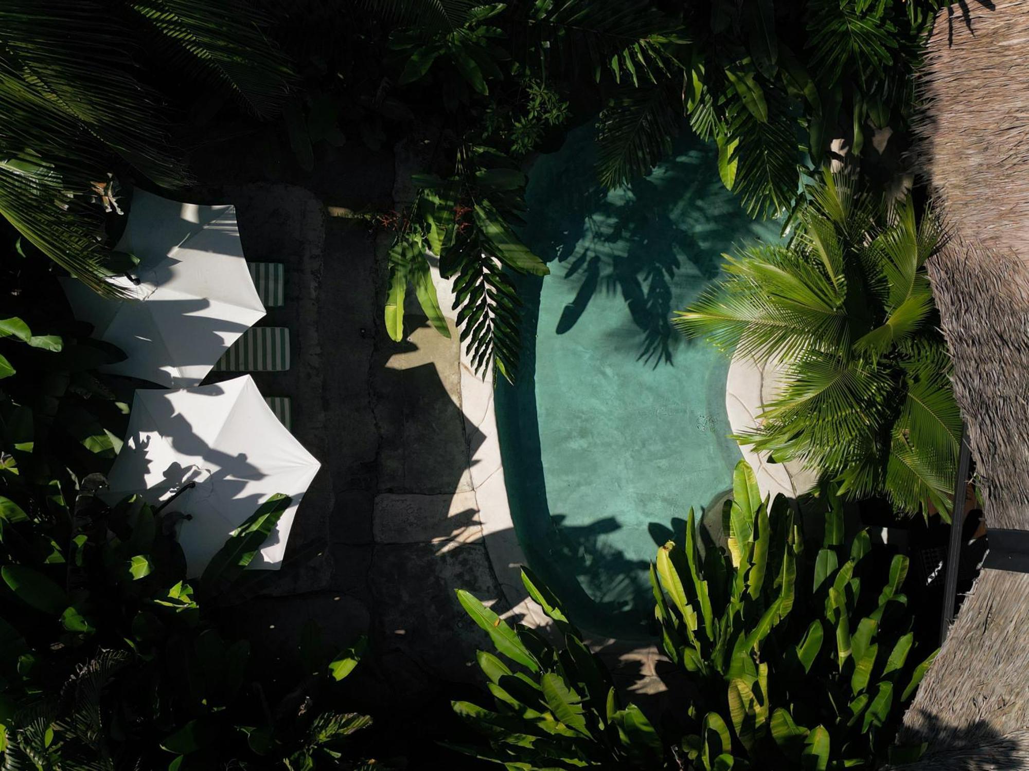 Conga Boutique Hotel Puerto Viejo de Talamanca エクステリア 写真