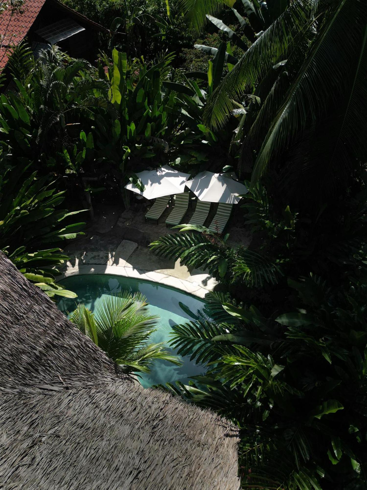 Conga Boutique Hotel Puerto Viejo de Talamanca エクステリア 写真
